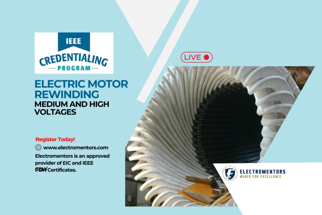 Electric Motor Rewinding (MV and HV)