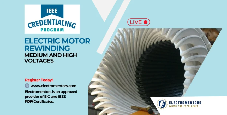 Electric Motor Rewinding